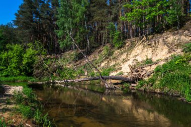 Nehir bir güneşli bahar gününde.