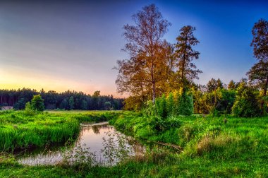 Yaz peyzaj vahşi bir nehir üzerinde