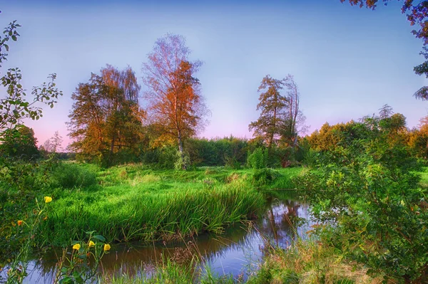 Krajobraz Lato Nad Dziką Rzeką — Zdjęcie stockowe