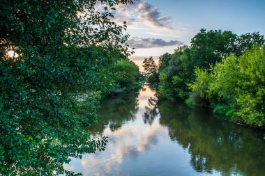 Yaz peyzaj vahşi bir nehir üzerinde