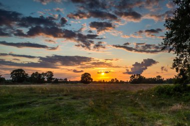Yaz peyzaj vahşi bir nehir üzerinde