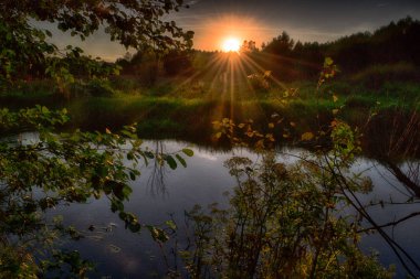 Yaz peyzaj vahşi bir nehir üzerinde