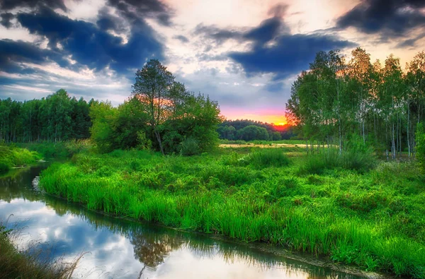 Summer Landscape Wild River — Stock Photo, Image