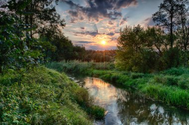 Yaz peyzaj vahşi bir nehir üzerinde