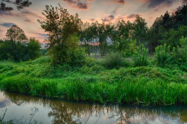 Yaz peyzaj vahşi bir nehir üzerinde