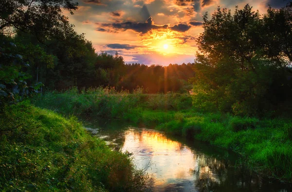 Summer Landscape Wild River — Stock Photo, Image