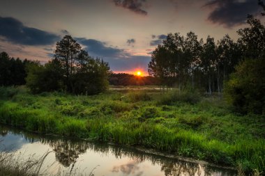 Yaz peyzaj vahşi bir nehir üzerinde