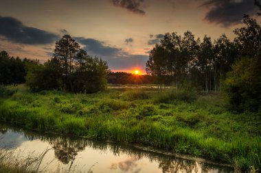Yaz peyzaj vahşi bir nehir üzerinde