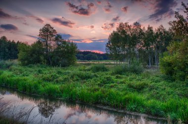 Yaz peyzaj vahşi bir nehir üzerinde