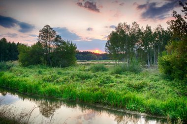 Yaz peyzaj vahşi bir nehir üzerinde