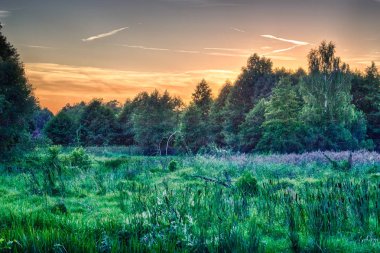 Nehirde gün batımı
