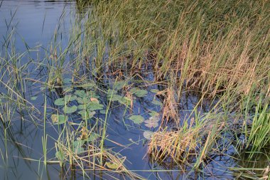 Günbatımı pitoresk göl üzerinde