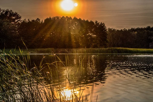 Sunset Picturesque Lake — Stock Photo, Image