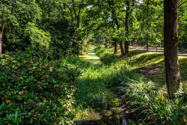 Park tarafından yaz güneş yaktı