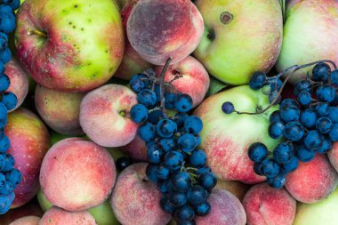 Bolkow, Polonya bir ortaçağ kalesi kalıntıları ediyor
