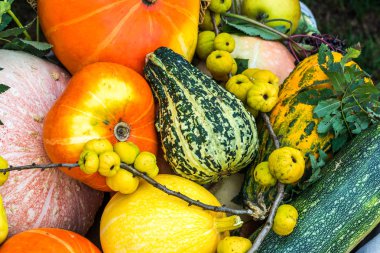 Bolkow, Polonya bir ortaçağ kalesi kalıntıları ediyor