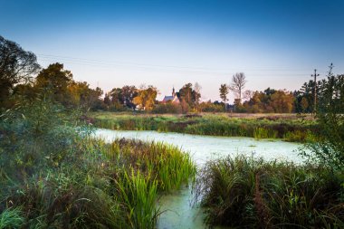 Küçük bir nehir üzerindeki güneşli sabah