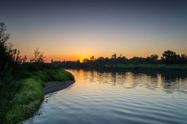 Orman ve nehir yaz güneş tarafından aydınlatılmış