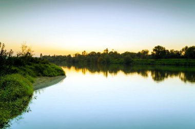 Orman ve nehir yaz güneş tarafından aydınlatılmış