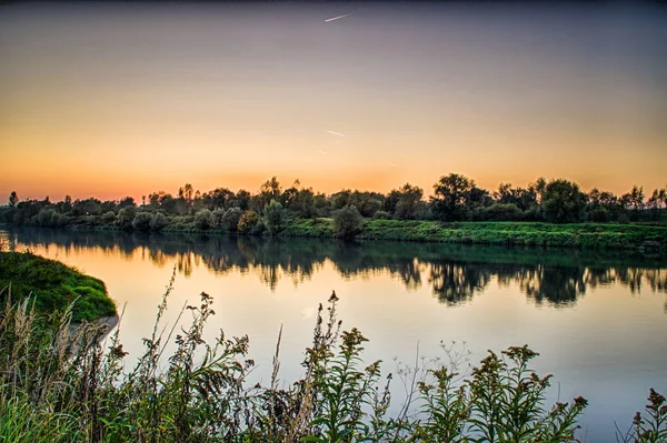 Forêt Rivière Éclairées Par Soleil Été — Photo