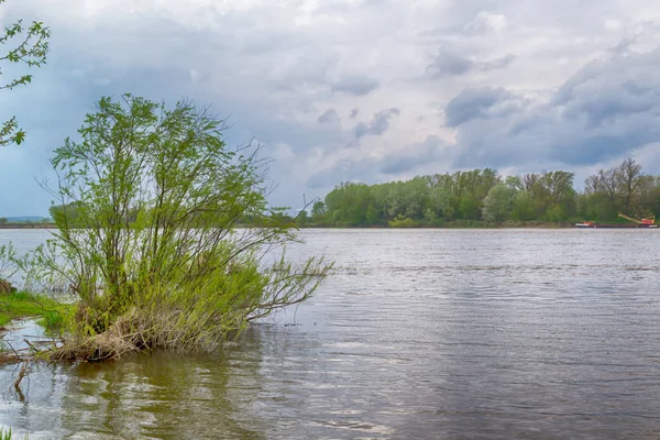 Vistula Nehri Merkezi Polonya.