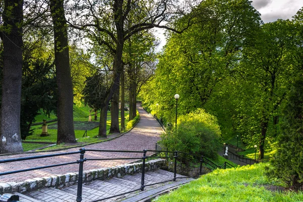 Park Zeleném Hávu Nachází Chelmnu Polsko — Stock fotografie