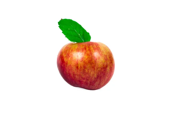 Zralé Jablko Zelený List — Stock fotografie