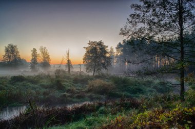 Sis, Güneş doğmadan önce nehirde. Bulutlar güneşin ilk ışınları gelen sıcak bir parlaklık.