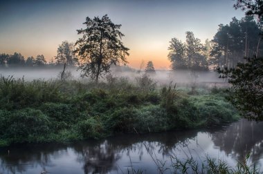 Grabia Nehri Orta Polonya hemen sonra sabah güneş siste zarflı