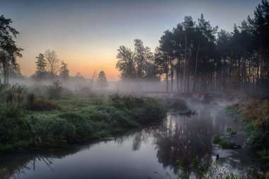 Grabia Nehri Orta Polonya hemen sonra sabah güneş siste zarflı