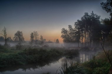 Grabia Nehri Orta Polonya hemen sonra sabah güneş siste zarflı