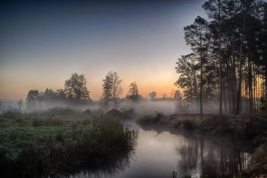 Grabia Nehri Orta Polonya hemen sonra sabah güneş siste zarflı