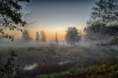 Grabia Nehri Orta Polonya hemen sonra sabah güneş siste zarflı