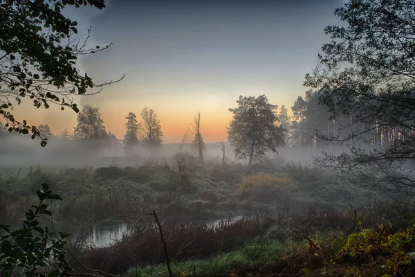 Grabia Nehri Orta Polonya hemen sonra sabah güneş siste zarflı