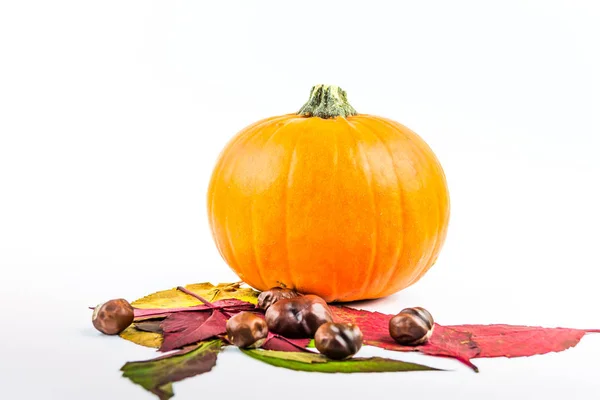 Halloween Bir Sembolü Olarak Sonbahar Meyve — Stok fotoğraf