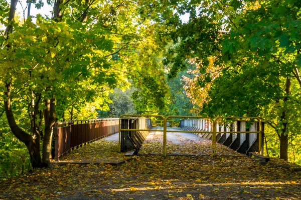 Árboles Otoño Que Rodean Puente — Foto de Stock