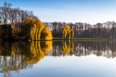 Bir sonbahar günü kuşlarda gölet.