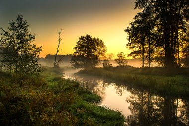 Bir sonbahar sabahı gizemli nehir