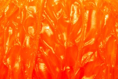 Objektif - macrophotography doğada 