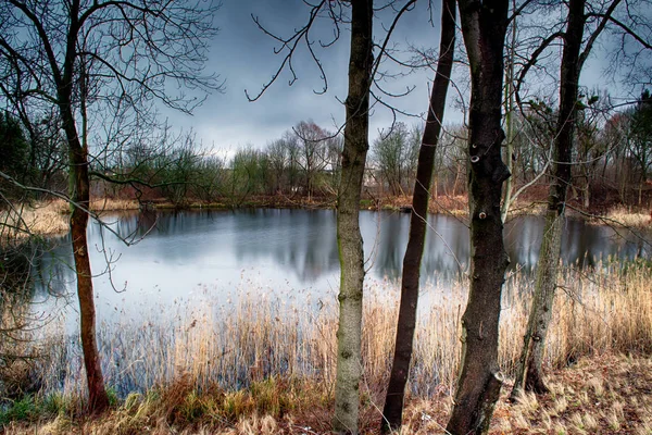 Início Inverno Lagoa — Fotografia de Stock