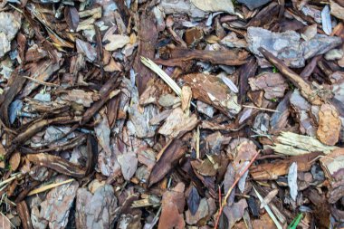 Arka plan daha fazla grafik işleri için doğal yapısı ile.