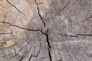 Arka plan için daha fazla grafik işleri.