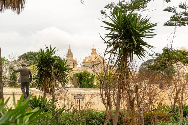 Plantas Interesantes Encontradas Malta Una Isla Mediterráneo — Foto de Stock