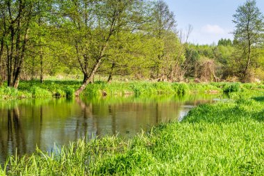 Polonya 'da bahar günü Gizemli Nehir Mezarlığı
