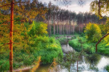 Polonya 'da bahar günü Gizemli Nehir Mezarlığı