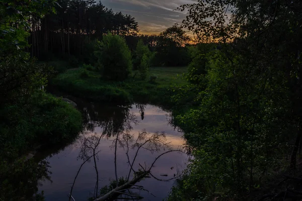 Une Petite Rivière Dans Centre Pologne Coulant Parmi Les Prairies — Photo