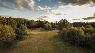Arka planda tarlalar ve çayırlar ile kırsal peyzaj.
