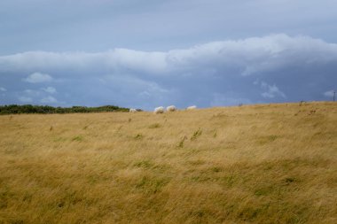 Sahil ve anıtlar, Galler