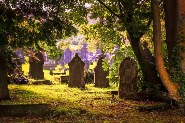 Graves Monuments Cemetery — Stock Photo, Image