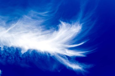 güneşli gökyüzü beyaz bulutlar ile.